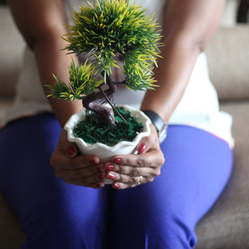 A woman gently holding a bonsai tree in her hands.